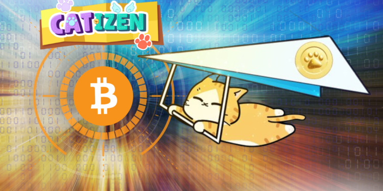 Blockchain gaming on Telegram Catizen