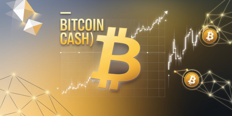 Bitcoin Cash