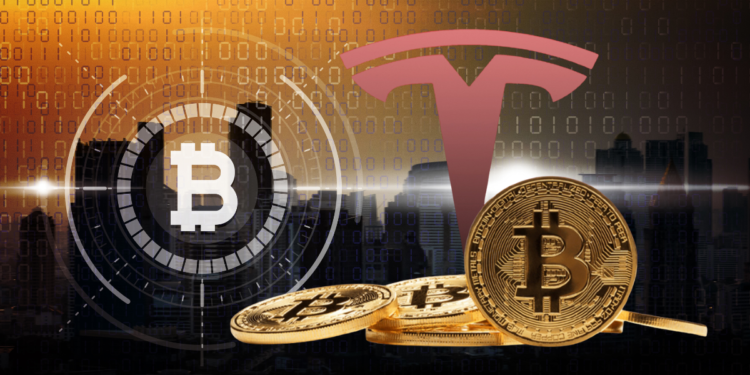 Tesla logo with Bitcoin coins, symbolizing the company's cryptocurrency activity.