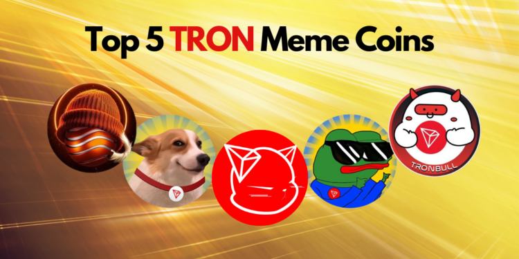 popular Top 5 TRON meme coins October 2024